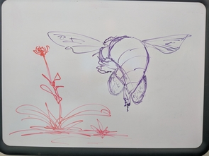 The whiteboard in Anderson's office serves both scientific and artistic purposes. (Photo: Daniel Stolte/UA News) The whiteboard in Anderson's office serves both scientific and artistic purposes. (Photo: Daniel Stolte/UA News)